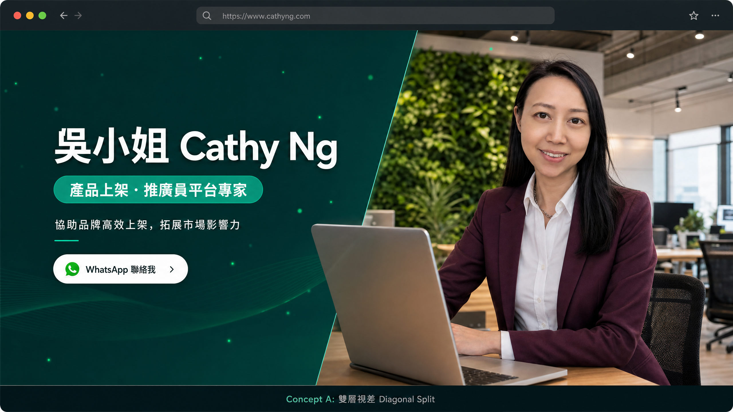 Cathy Ng 吳小姐 - 產品上架 · 推廣員平台專家